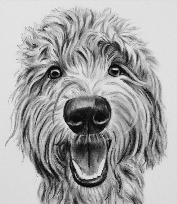 Pet portrait colour//black and white 1-2 Pets From Photos Commission Artist Gift