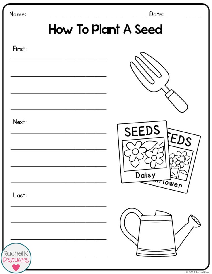 How-to Essay Topics for a Process Essay