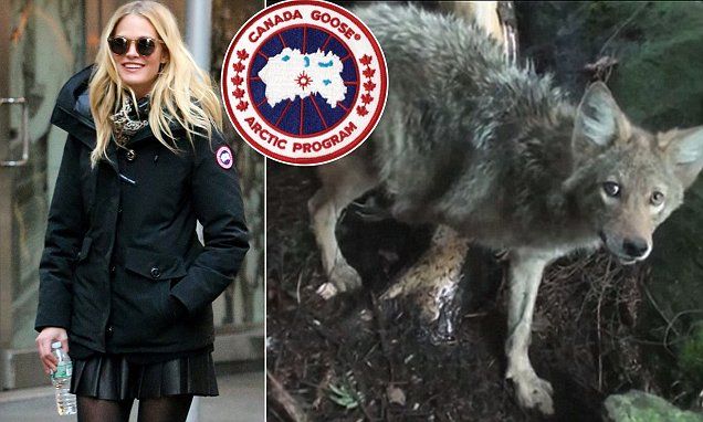 canada goose fur and down policy canada goose fur and down policy