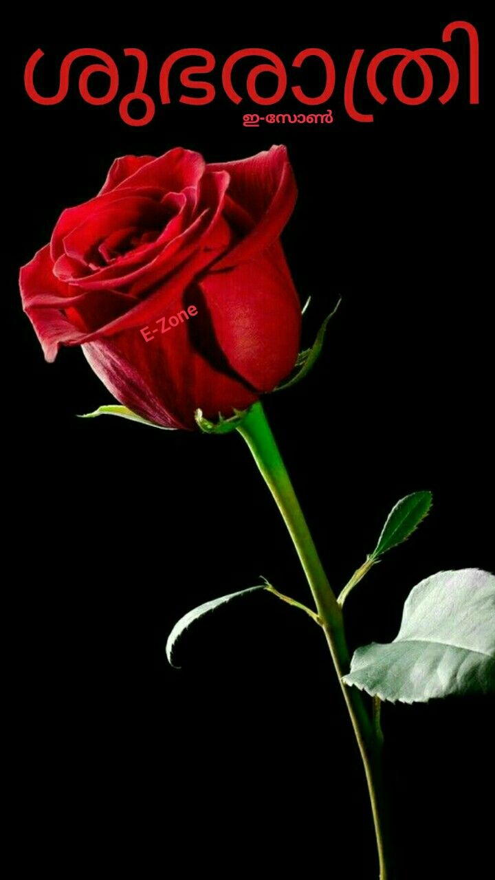 Pin By Eron On Good Night Malayalam Good Night Gif Night Gif Good Night