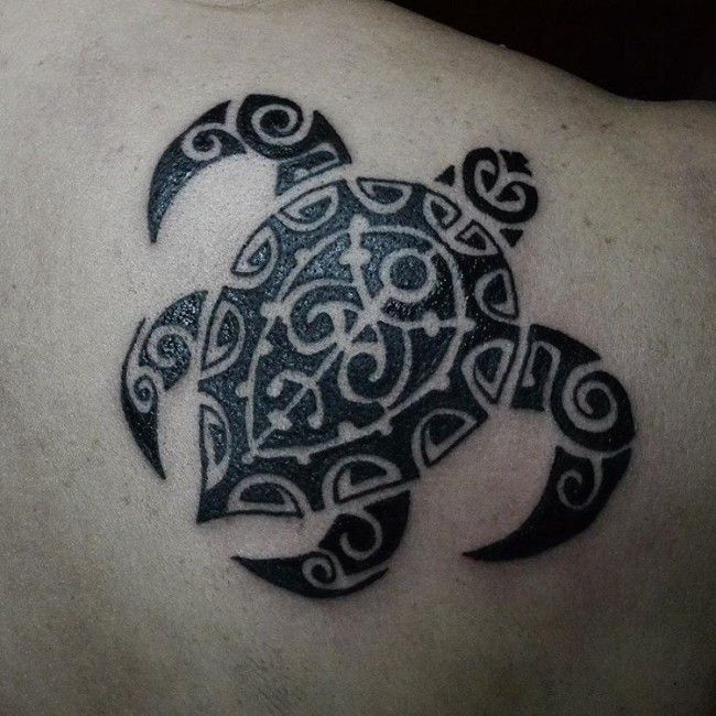 com shell tattoos pictures to pin on pinterest tattooskid com shell tattoos pictures to pin on pinterest tattooskid