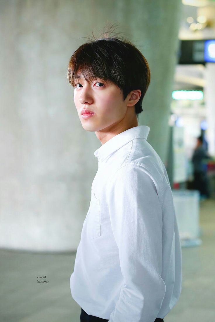 sf9 chani sf9 chani sf9 kang chan hee sf9 chani sf9 chani sf9 kang chan hee