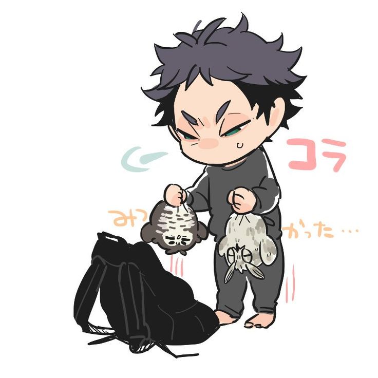 Embedded | Haikyuu manga, Haikyuu, Haikyuu bokuto
