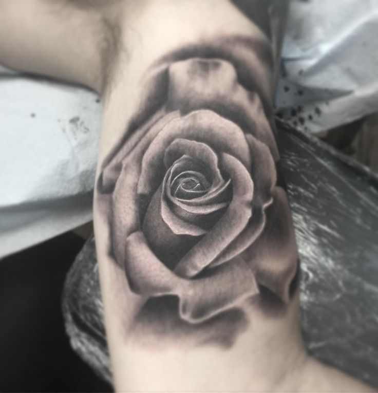 rose flower tattoo black and gray realistic realism by rose flower tattoo black and gray realistic realism by