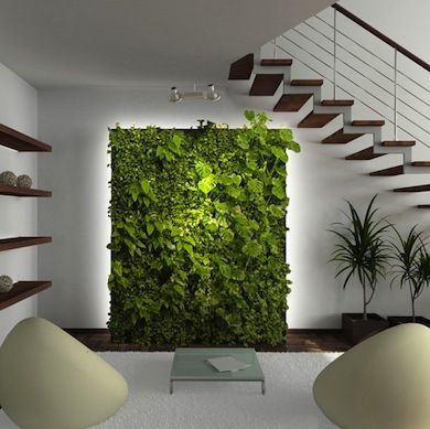 INFORMATION: Indoor Vertical Garden; 10 Great Ways to Grow Your Walls Green Add lifeliterally!to an interior space with a visually stunning vertical wall ... INFORMATION: Indoor Vertical Garden; 10 Great Ways to Grow Your Walls Green Add lifeliterally!to an interior space with a visually stunning vertical wall ...