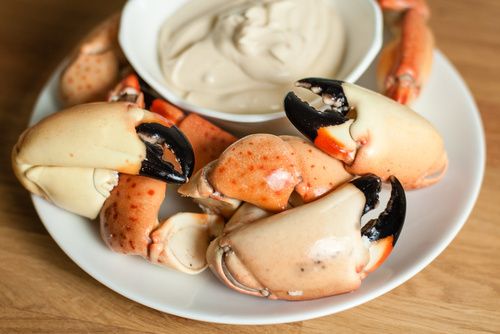 Joe S Stone Crab Crab Cake Recipe Joe S Stone Crab Crab Cake Recipe