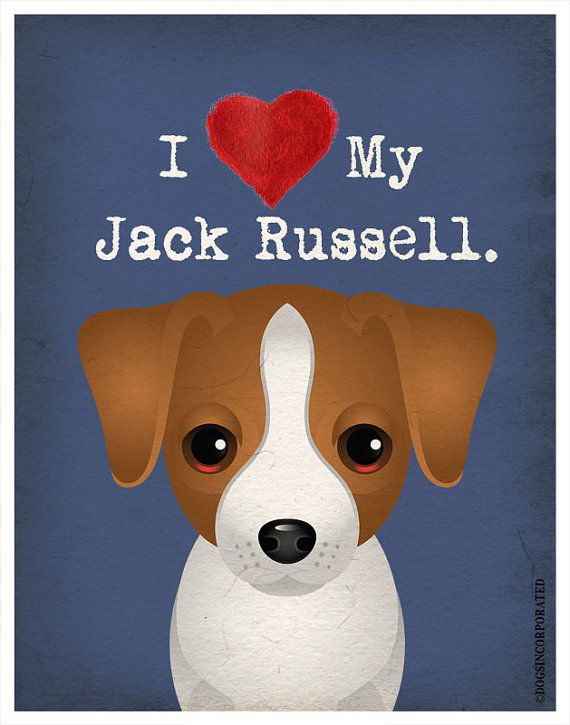 Personnalisé jack russell chien chiot de noël traiter santa de noël sac pet stocking Personnalisé jack russell chien chiot de noël traiter santa de noël sac pet stocking