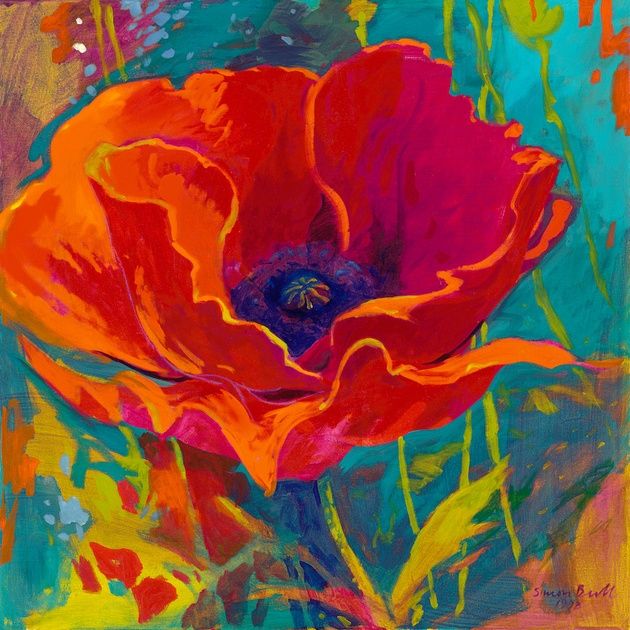 top 25+ best vibrant colors ideas on pinterest | humming birds top 25+ best vibrant colors ideas on pinterest | humming birds