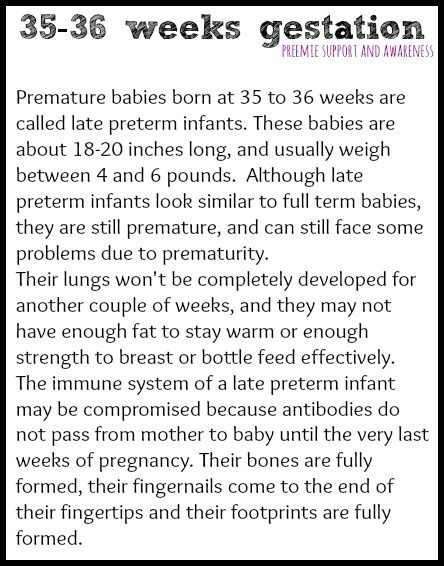 nicu notes