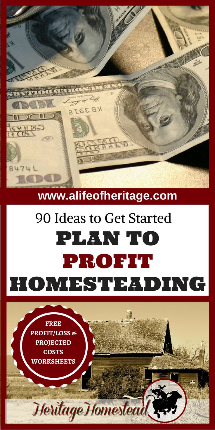 Homesteading | Making money on a Homestead | Earn an income homesteading | Homesteading income | Money making homestead | FREE PROFIT/LOSS & PROJECTED COSTS WORKSHEETS. What does it take to profit homesteading? Over 90 ideas to get you started!