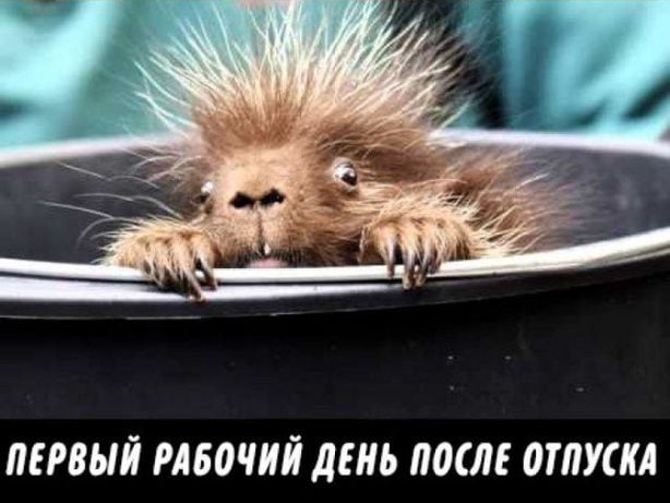 Прикольное Фото Хочу Прикольное Фото Хочу