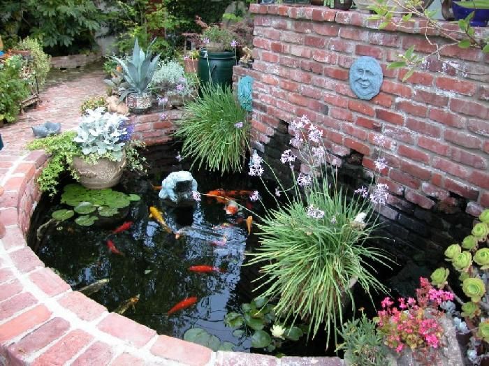 Best 25+ Above ground pond ideas on Pinterest | Pond ideas, Small ... Best 25+ Above ground pond ideas on Pinterest | Pond ideas, Small ...