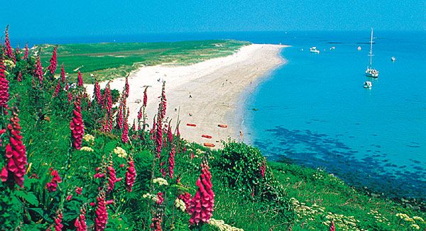 Places To Rent In Jersey Channel Islands Places To Rent In Jersey Channel Islands