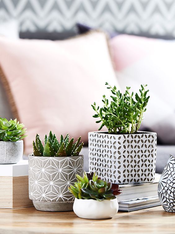 Coffe Table Decor best 10+ coffee table accessories ideas on pinterest | coffee Coffe Table Decor best 10+ coffee table accessories ideas on pinterest | coffee