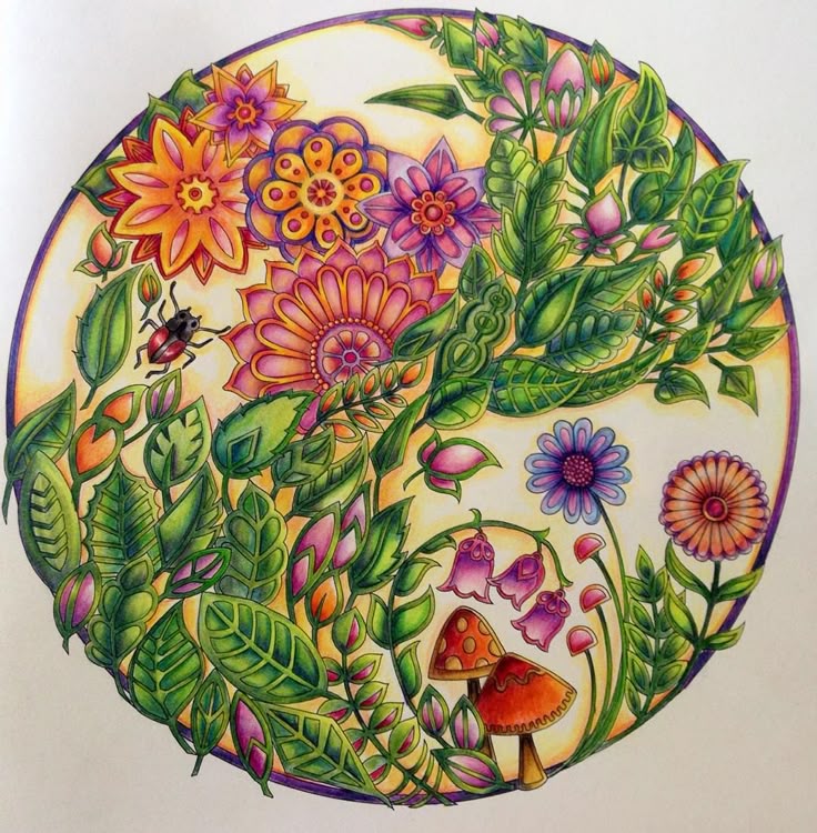 Mandala Flower Enchanted Forest Johanna Basford I Used Polychromos Pencils Find This Pin And More On Coloring Book Completed Pages