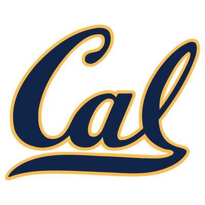 berkeley application essay secret strategies