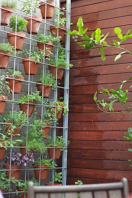 Best 25 Patio Herb Gardens Ideas Only On Pinterest Gardening Vertical Herb Garden Awesome Herbs