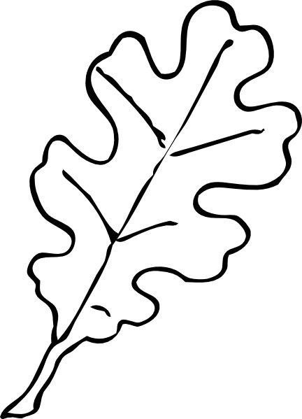 fall leaf template oak leaf outline clip art vector clip art