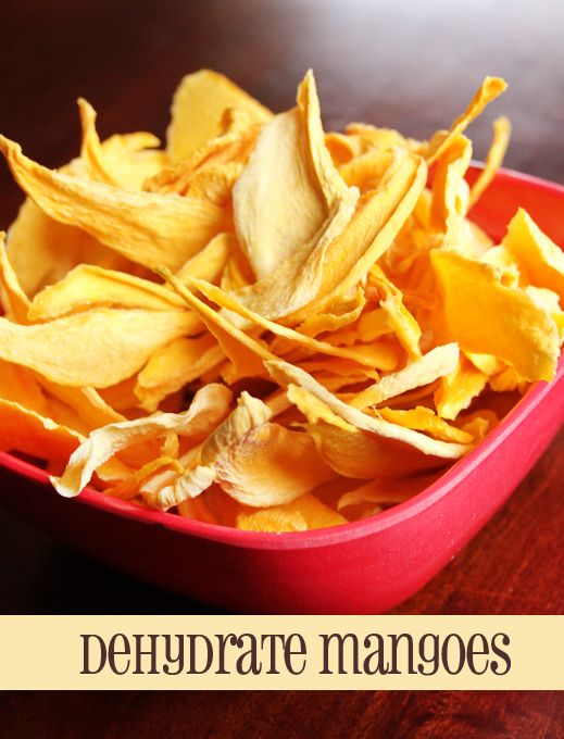 Food Dehydrator Hamburger Jerky Recipes Food Dehydrator Hamburger Jerky Recipes
