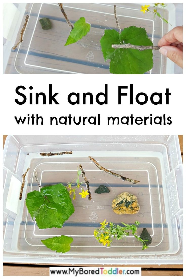 Sink and Float Water Play with Natural Materials Science activities Sink and Float Water Play with Natural Materials Science activities