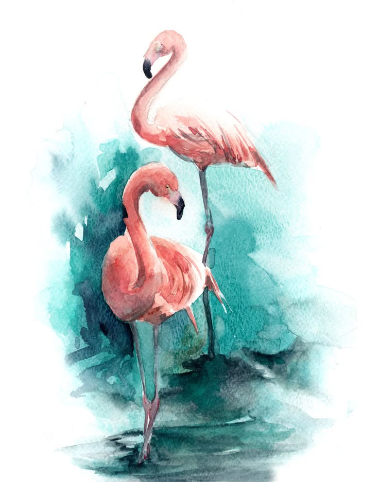 Best 25 Flamingo Art Ideas On Pinterest