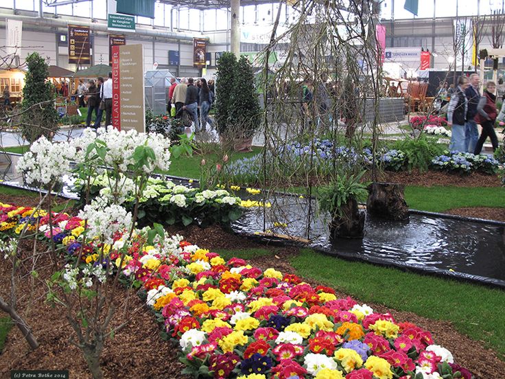 Les 25 meilleures idées de la catégorie Gartenmesse sur Pinterest - haus garten freizeit Les 25 meilleures idées de la catégorie Gartenmesse sur Pinterest - haus garten freizeit