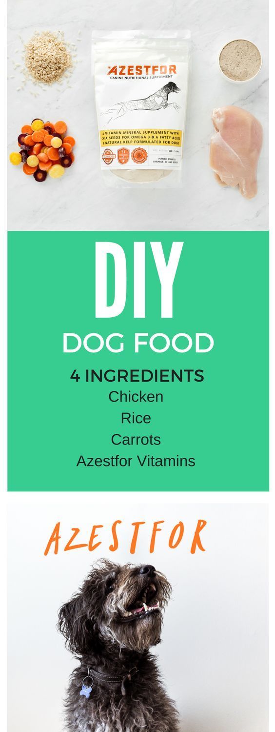 Diy Recipes For Small Dog With Sensitive Stomach Diy Recipes For Small Dog With Sensitive Stomach