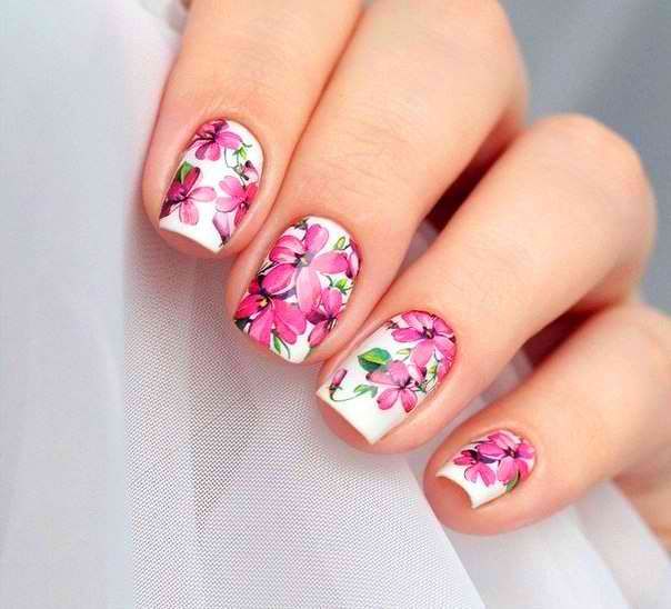Best 25+ Types Of Nails Ideas On Pinterest Nails Shape, Manicure Want to create your own nail art designs? - Best 25+ Types Of Nails Ideas On Pinterest Nails Shape, Manicure