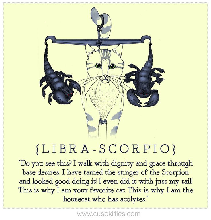 Can a libra and scorpio be together