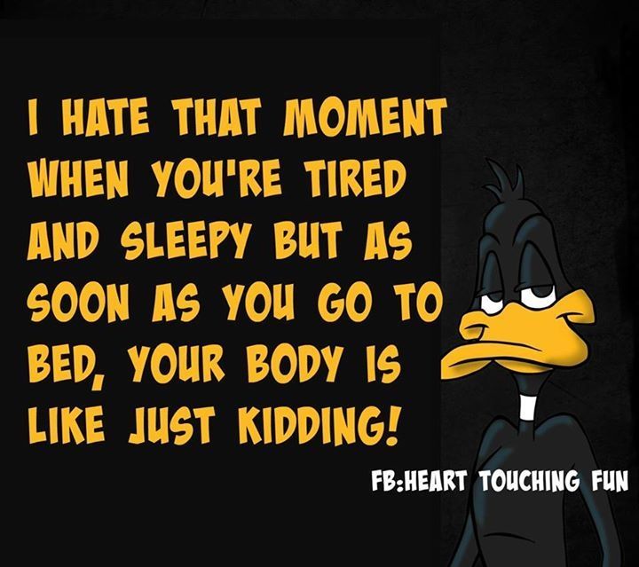 funny sleep quotes Yahoo Image Search Results Sleep