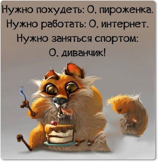 Смешные картинки про диеты похудение, днем рождения