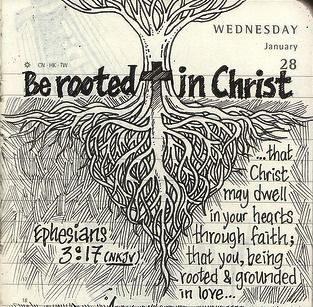 be rooted in Christ | Bible, Bible quotes, Bible verses