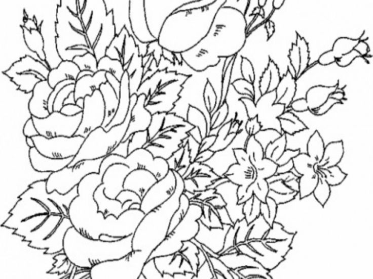 free printable flower coloring pages for adults voteforverde free printable flowers coloring pages in uncategorized style free printable coloring image