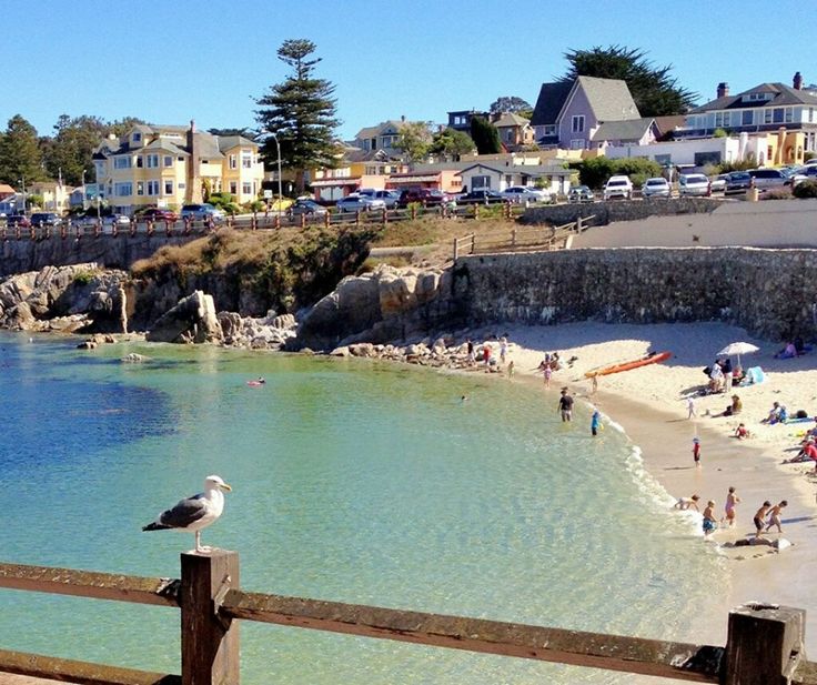 243 Best Carmel And Monterey Images On Pinterest California Lover S Point Beach Pacific Grove California