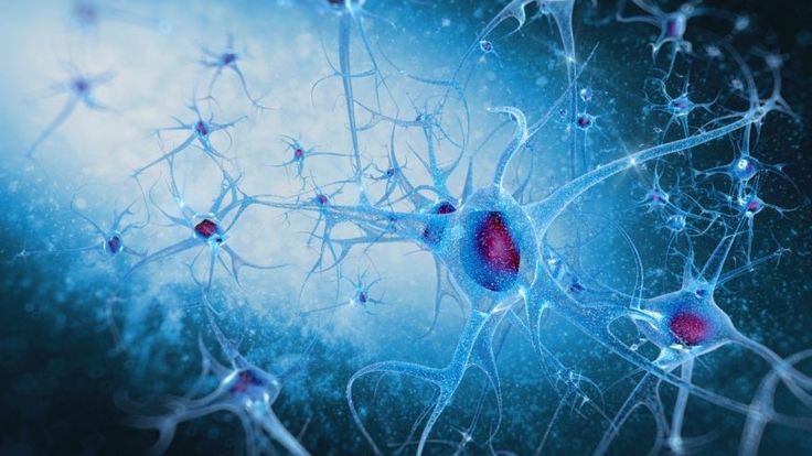 How brain's 'helper cells' could contribute to schizophrenia | Improve