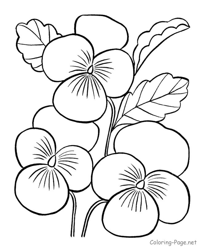 Best 25+ Flower coloring pages ideas on Pinterest | Mandala ... Best 25+ Flower coloring pages ideas on Pinterest | Mandala ...