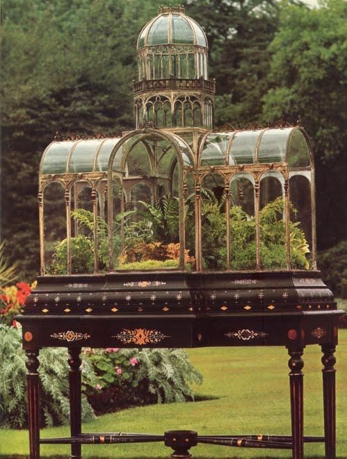 Best 20+ Large Terrarium Ideas On Pinterest Water Terrarium A large and beautiful Wardian case, (terrarium) with a display of ferns. - Best 20+ Large Terrarium Ideas On Pinterest Water Terrarium