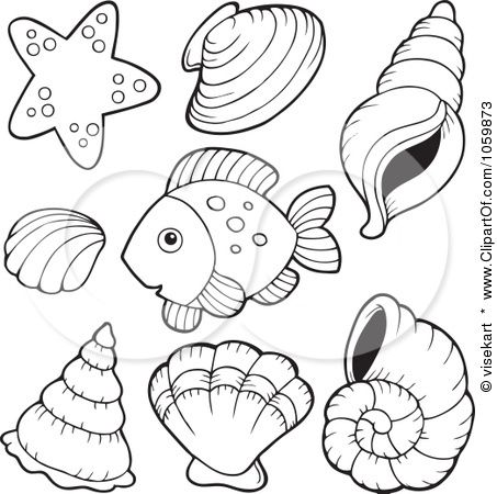 459 best amphibians & sea life coloring pages images on pinterest ... - Seashell Coloring Pages Printable 459 best amphibians & sea life coloring pages images on pinterest ... - Seashell Coloring Pages Printable