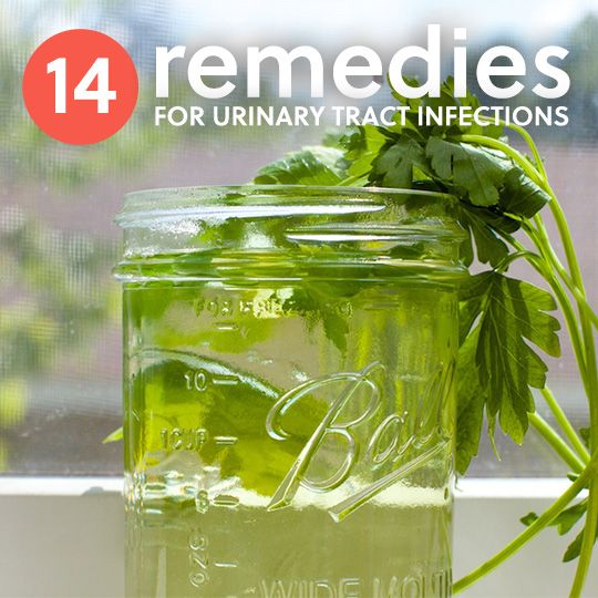 Treatment for urinary infection in dogs
