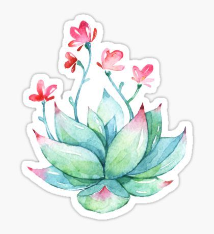 succulent sticker sticker plans in 2018 pinterest stickers