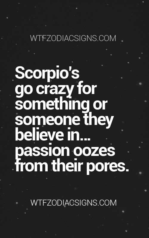 best 25 sagittarius scorpio ideas on pinterest daily best 25 sagittarius scorpio ideas on pinterest daily