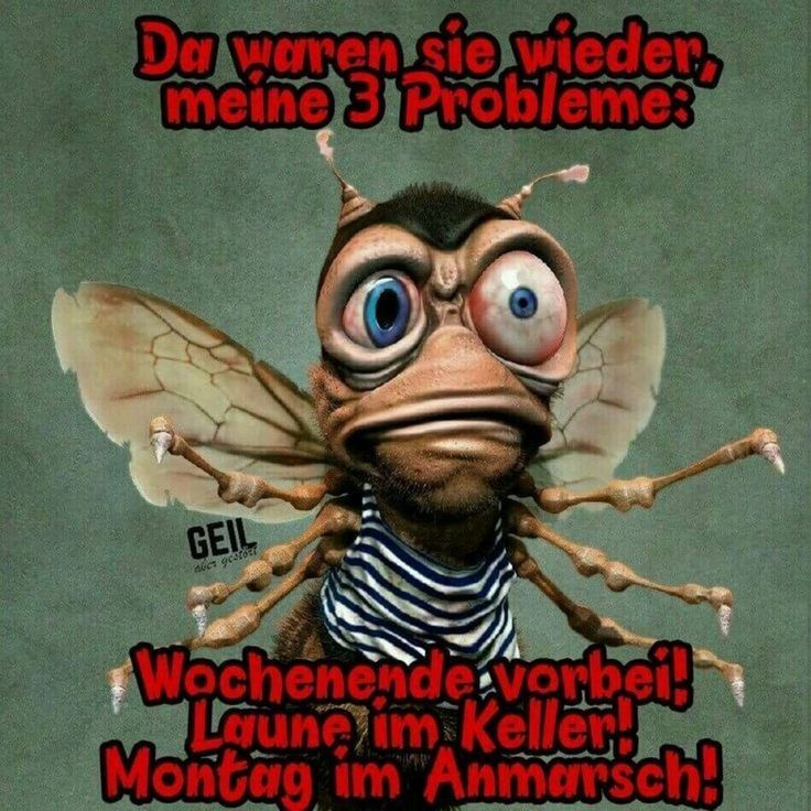 Montag bilder 25 in 2020 Funny lyrics, Funny memes, Morning quotes funny