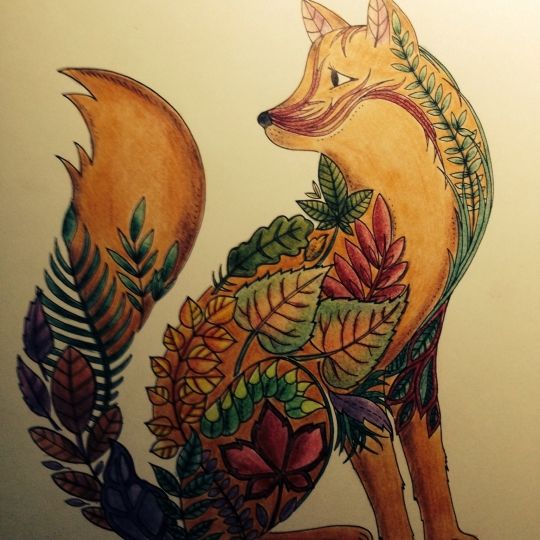 185 Best Johanna Basford Images On Pinterest