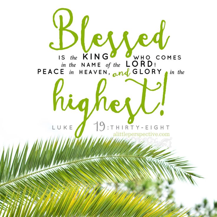 Luk 19 38 WEB mf 9xSP Scripture Pictures Palm Sunday Quotes Scripture Luk 19 38 WEB mf 9xSP Scripture Pictures Palm Sunday Quotes Scripture