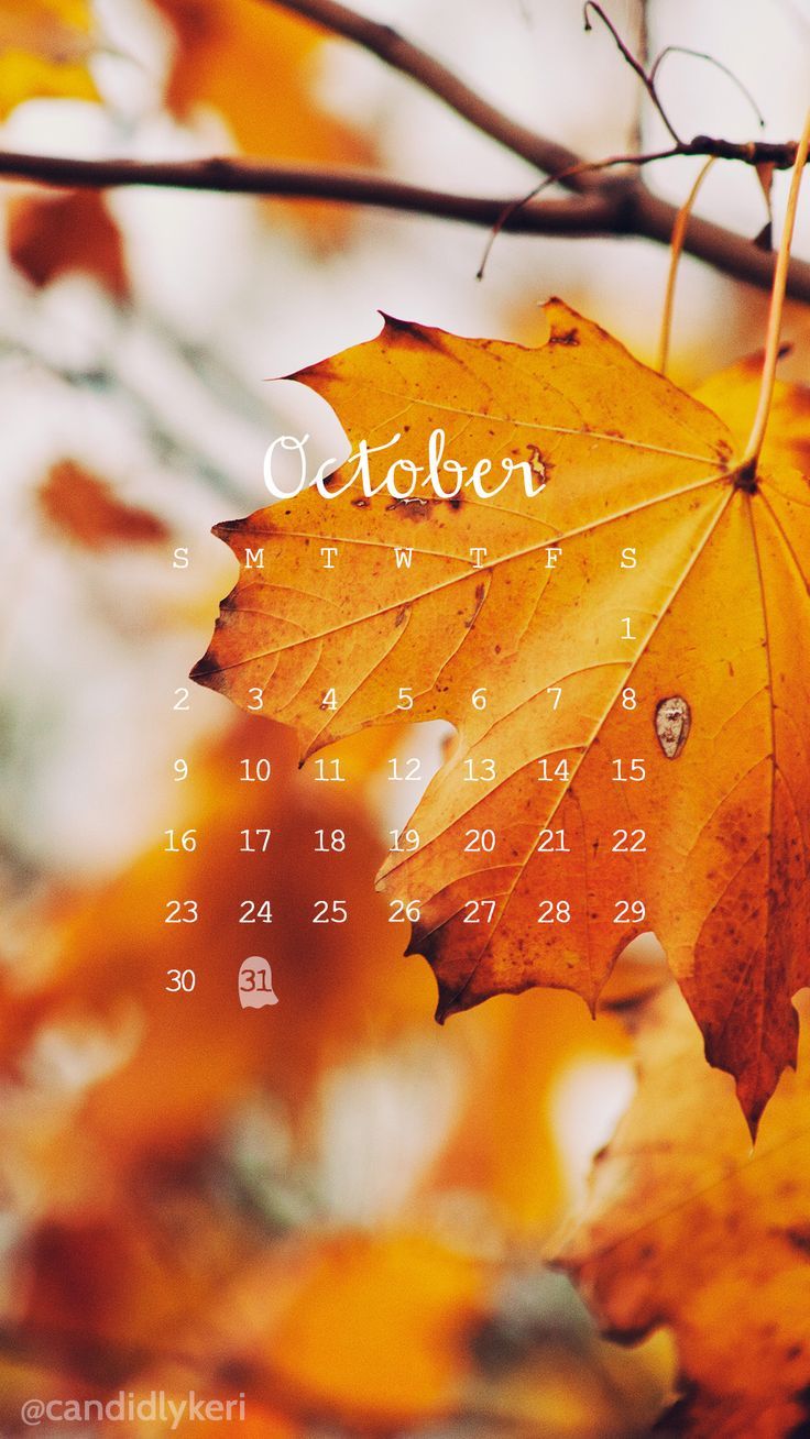 Fall Leaves Photo October Calendar 2016 Wallpaper You Can Download For Free On The Blog For Any De October Wallpaper Iphone Wallpaper Fall Cute Fall Wallpaper