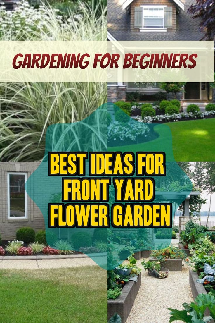 Take A Look At This Necessary Picture And Look At Today Strategies And Information On Landscaping In 2020 Garden Front Of House Diy Landscaping Front Yard Landscaping