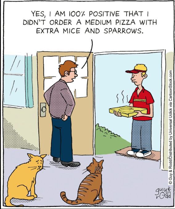 Quotes For Thanksgiving With A Cat And Dog Quotes For Thanksgiving With A Cat And Dog