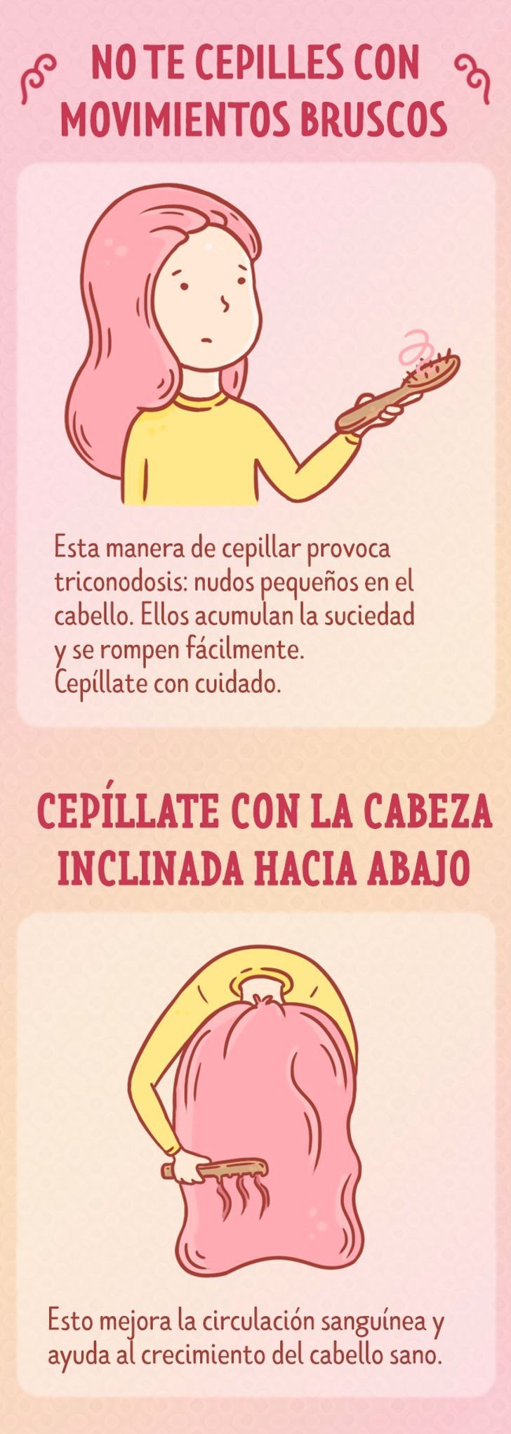Cómo Cepillar El Cabello Correctamente Cepillado De Cabello Consejos Para El Cabello Crecimiento Del Cabello Sano