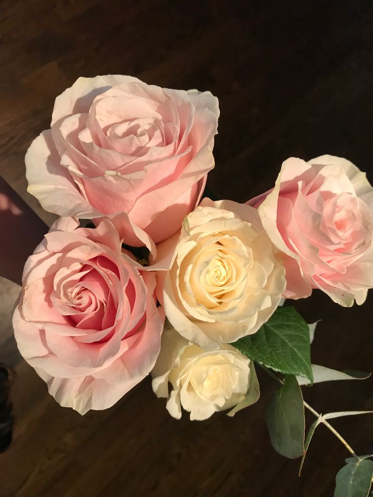 Idea by Amanda C. on Simply Beautiful | Simply beautiful ...