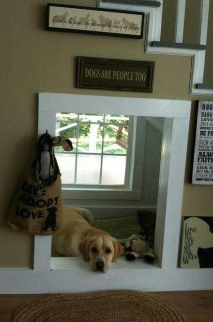 Die besten 25+ Hund unter treppe Ideen auf Pinterest Hundezimmer - unter der treppe wohnideen Die besten 25+ Hund unter treppe Ideen auf Pinterest Hundezimmer - unter der treppe wohnideen